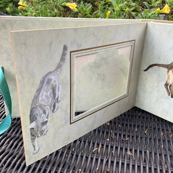 Vintage Colour Library books cat photograph album - Picture 6 of 8